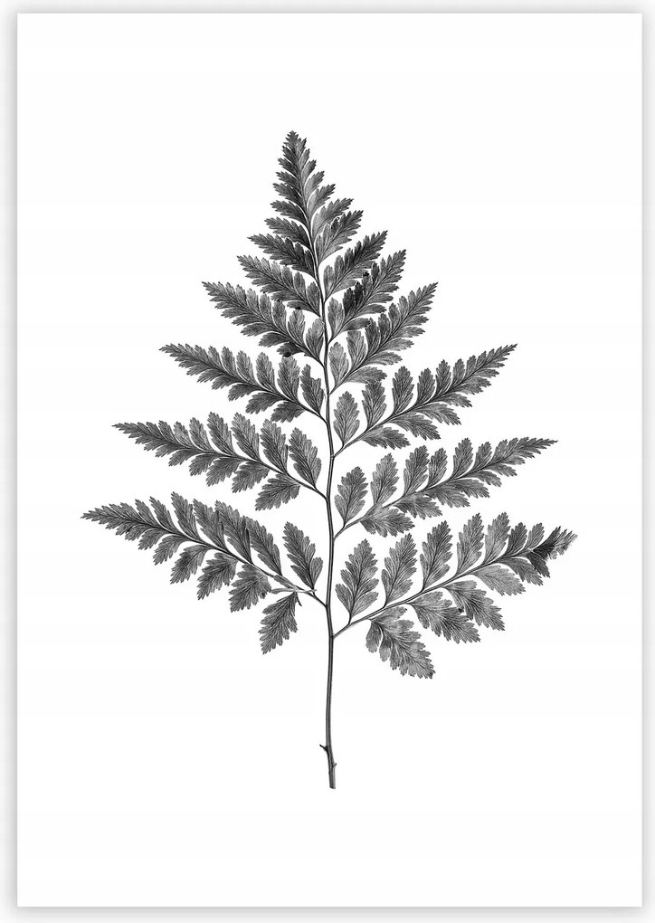 Dekoria Fern Grey poszter