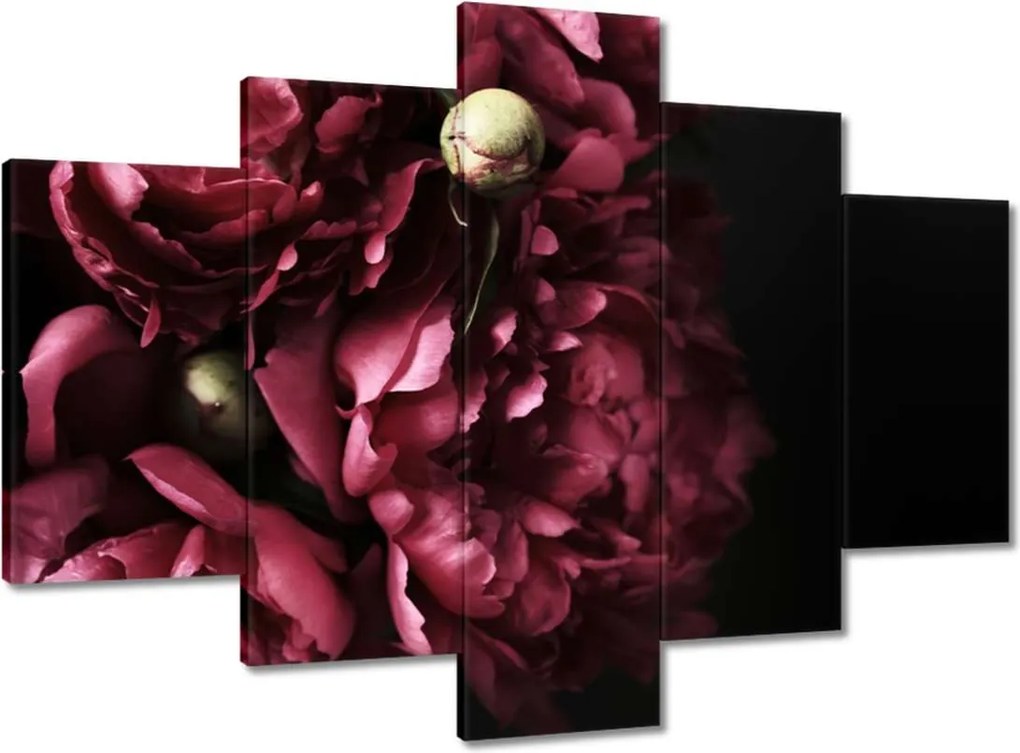 Vászonkép 150x105 Gyönyörű lila bazsarózsa