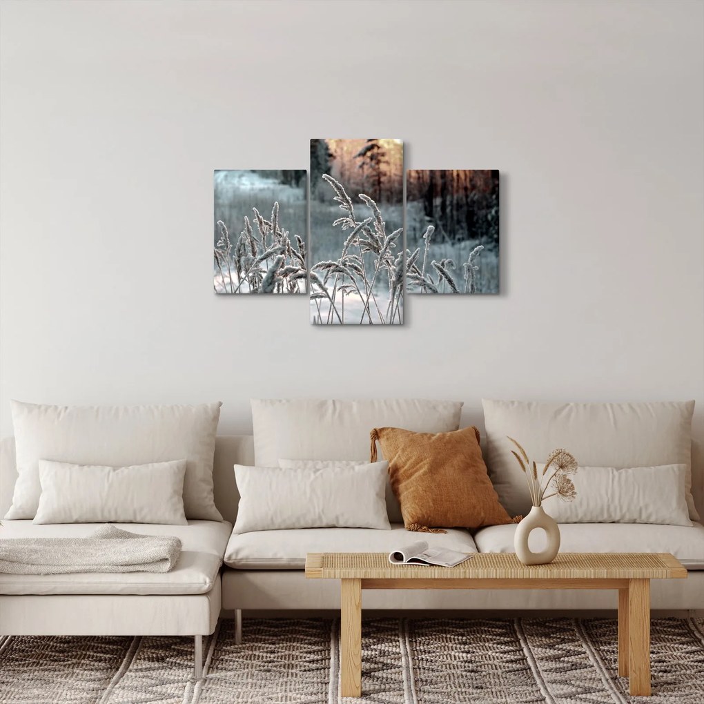 Kép - Fagyott rét (90x60 cm)