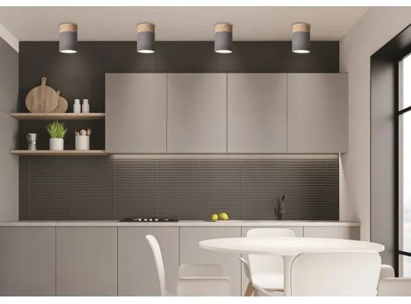 Mennyezeti lámpa TUBA GU10/15W/230V