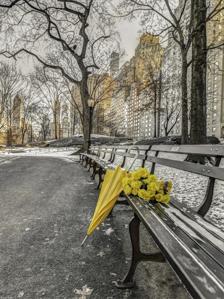Poszter 30x40cm Egy csokor sárga virág és egy esernyő a park padján, Assaf Fra