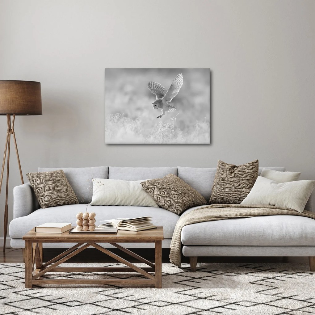 Kép - Bagoly, fekete-fehér (70x50 cm)