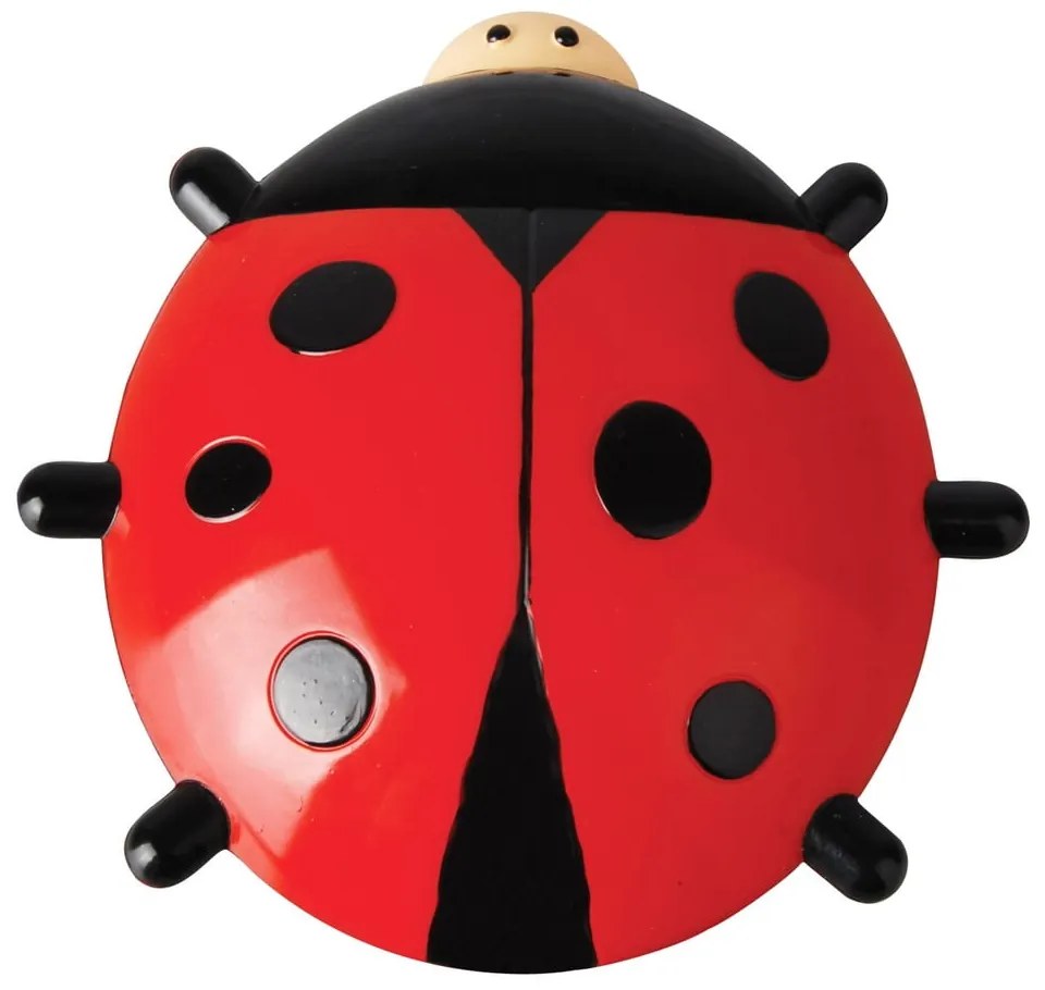 Kültéri hőmérő Ladybird – Esschert Design