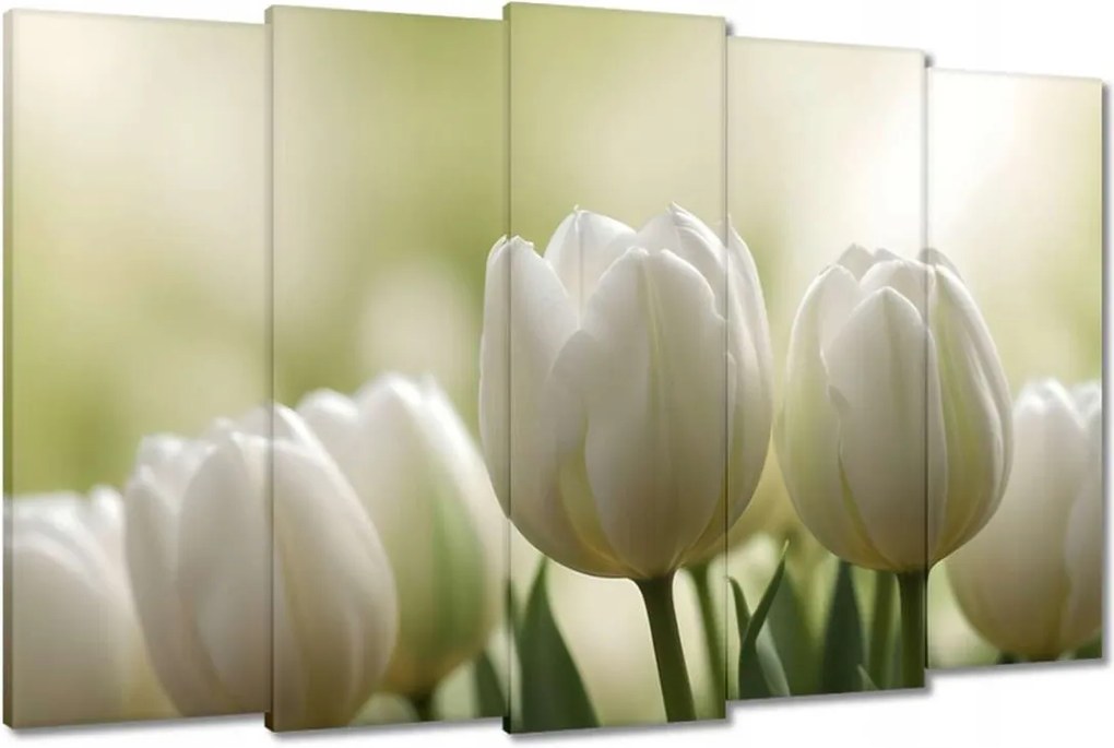 Vászonkép 150x95 Fehér tulipánok