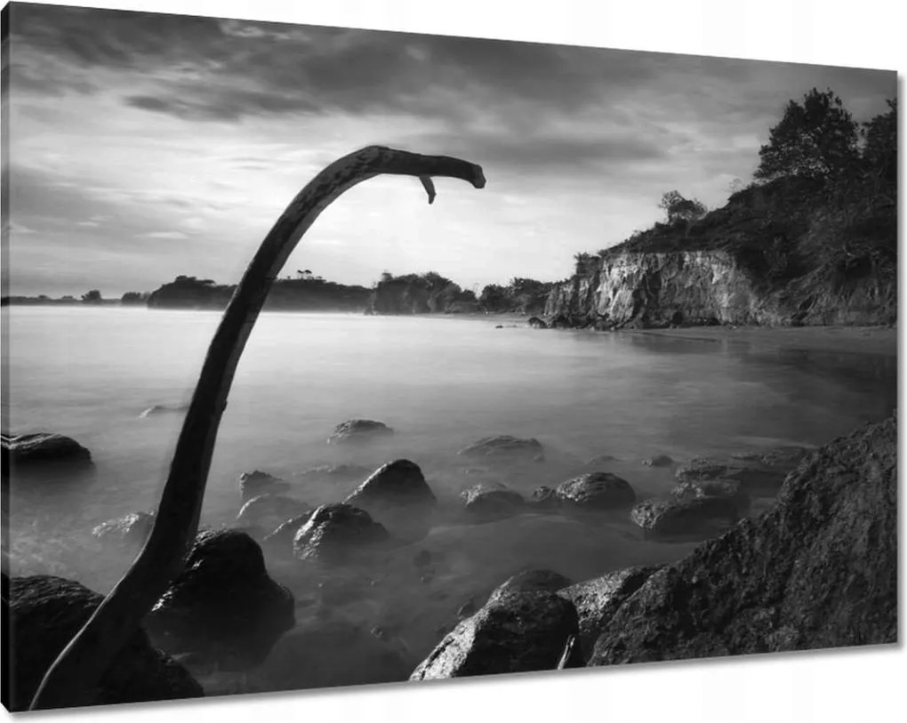 Vászonkép 100x70 Tengerpart éles sziklákkal