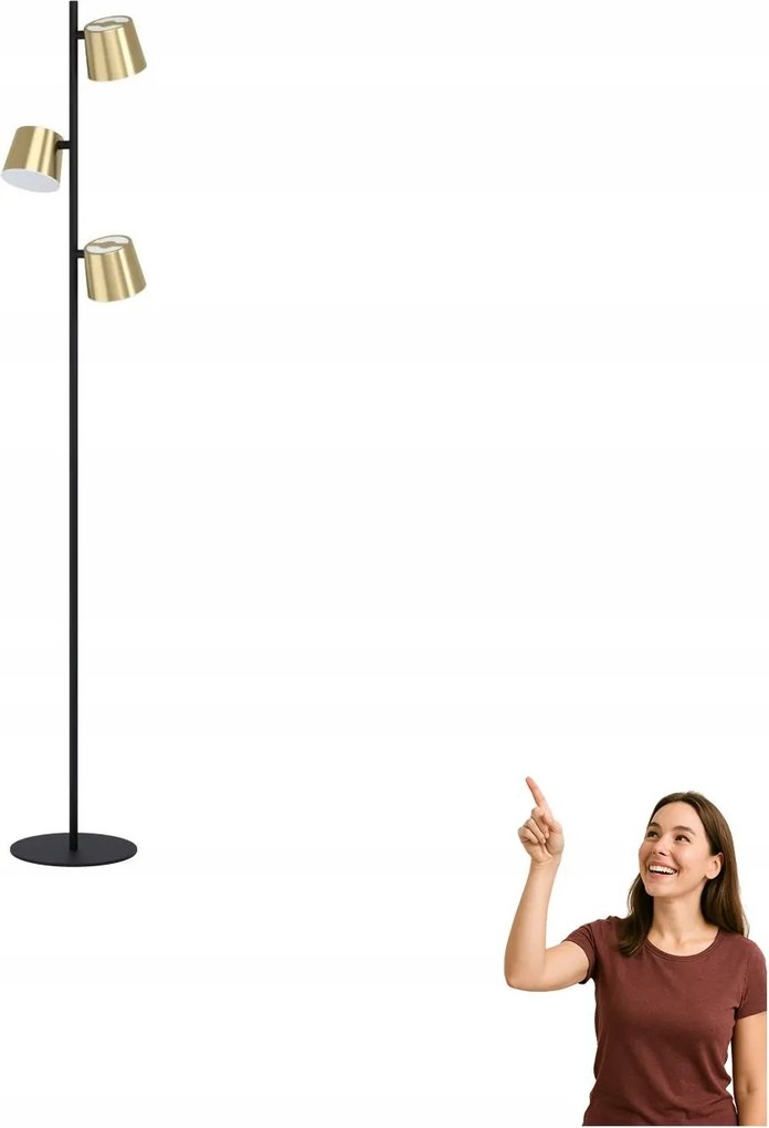 Állólámpa Altamira 39987 Eglo