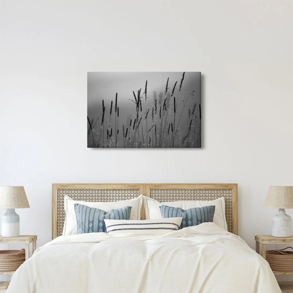 Kép - Fűszálak (90x60 cm)