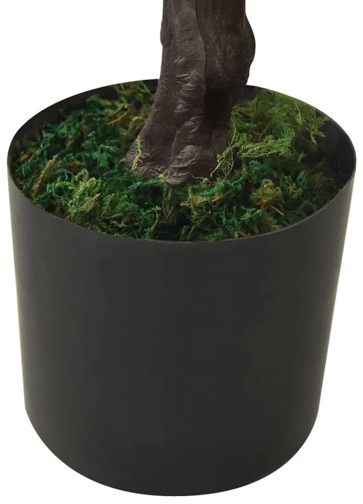 zöld cserepes mű ciprusbonsai 60 cm