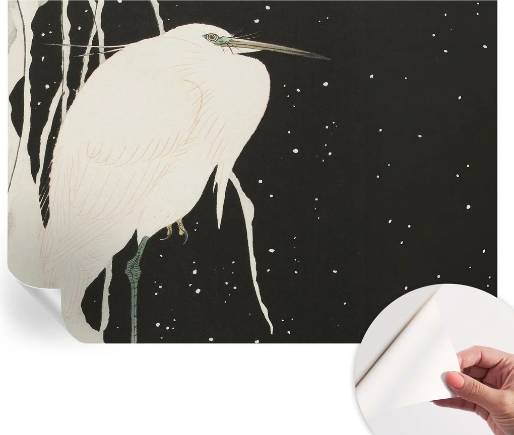 Öntapadós Dekoratív Fotótapéta Hálószobába Téli madár 208x146 cm