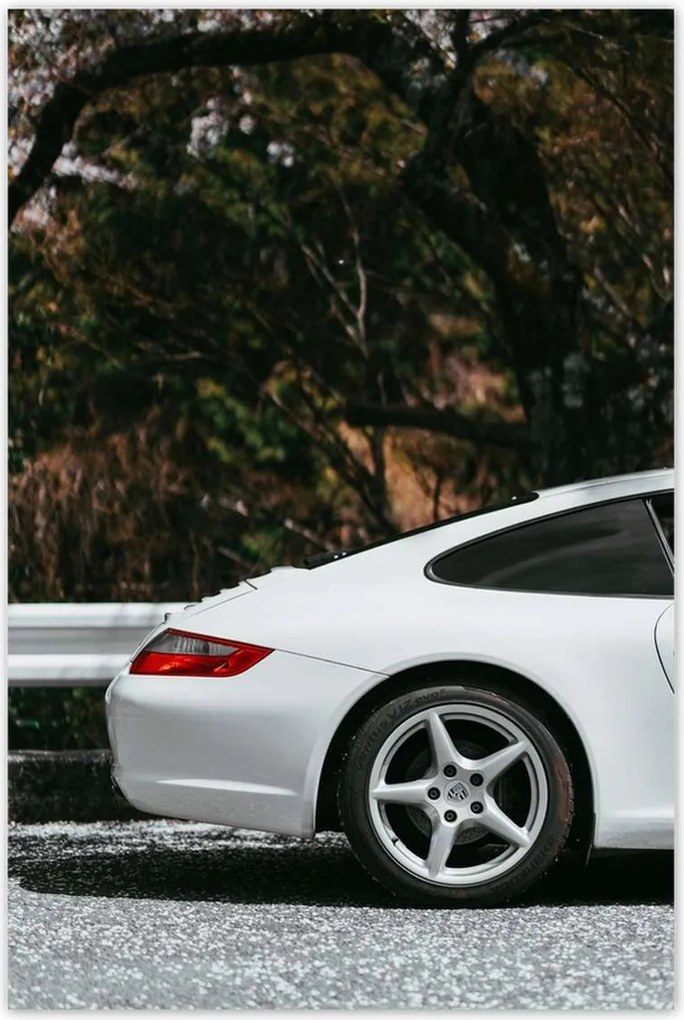 Poszterek 80x120 Porsche Autó