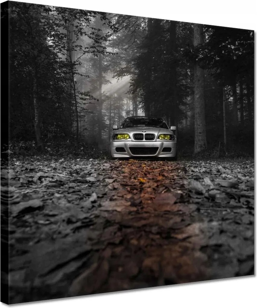 Vászonkép 30x30 Bmw autó Buma BeMkA