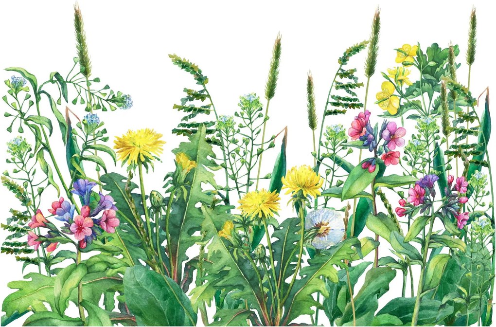 Üveg kép - Festett réti virágok (70x50 cm)