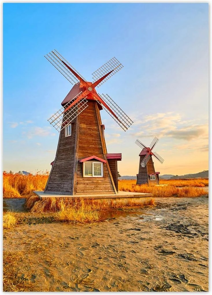 Poszterek 50x70 Fa szélmalom