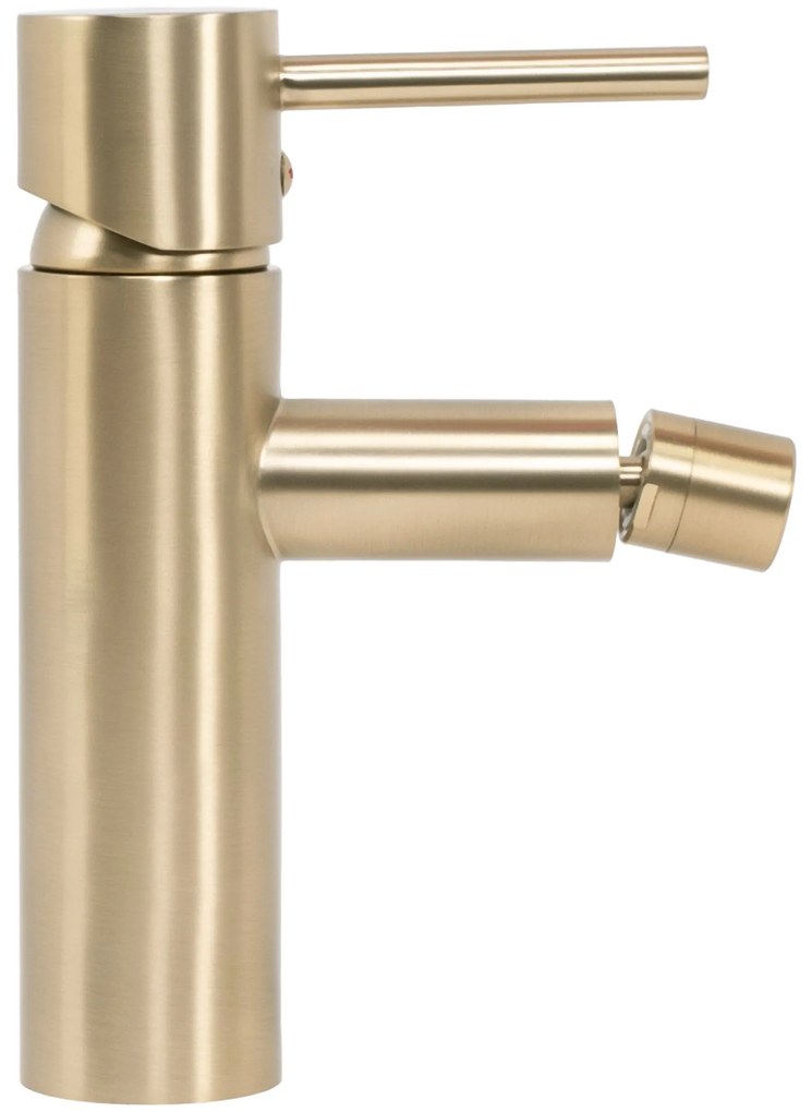 Rea Tess L. Gold Brush bidé csaptelep