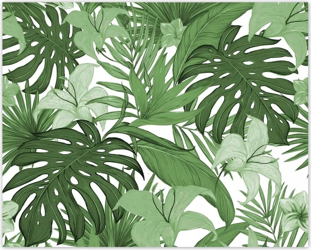 Poszterek 50x40 Monstera Modern minta