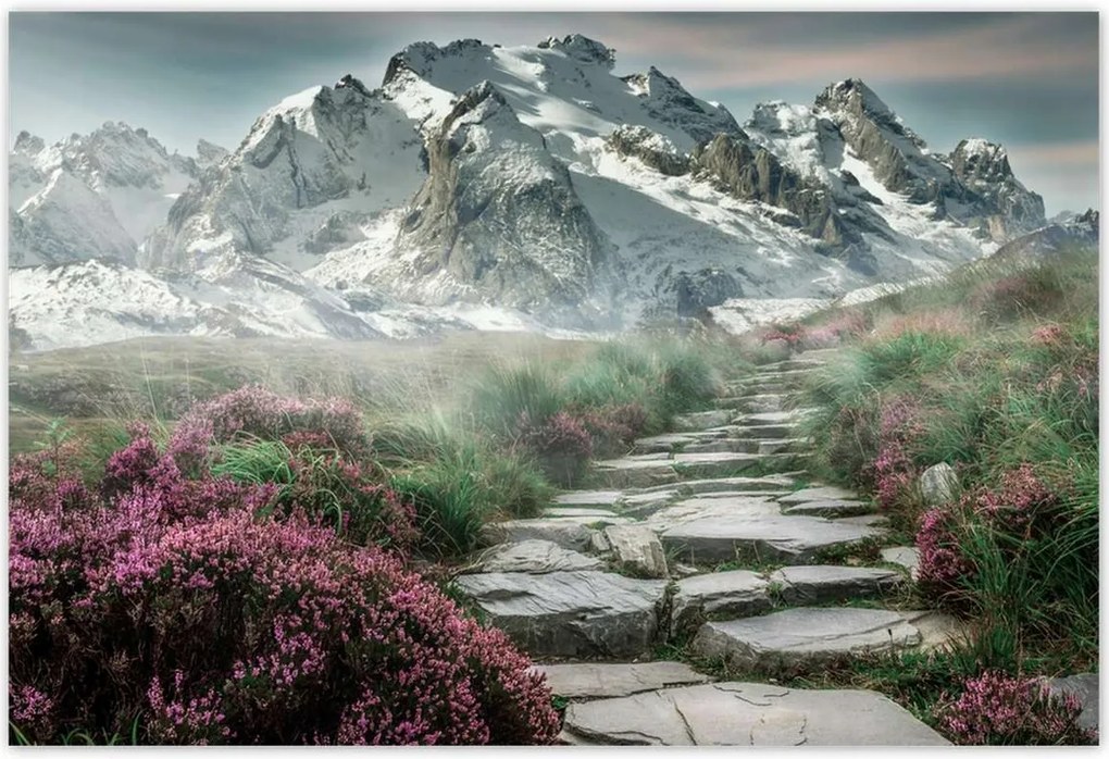 Fotótapéták 104x70 Hegyi kilátás Tájkép Köd