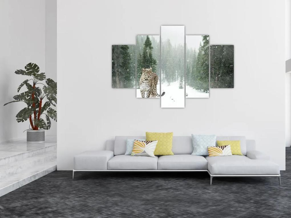 Leopárd a hóban képe (150x105 cm)