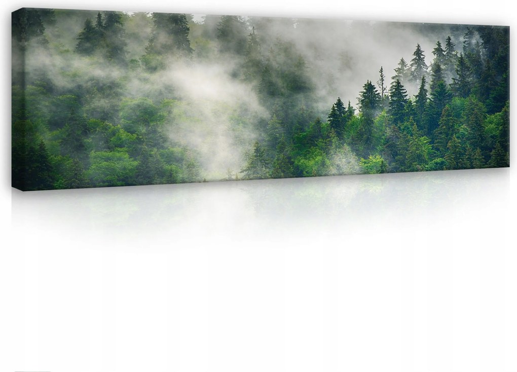 Vászonkép 145x45 Erdő hegyek köd zöld természet nyugalom árnyék fény