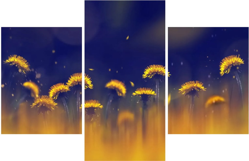 Kép - Pitypang (90x60 cm)