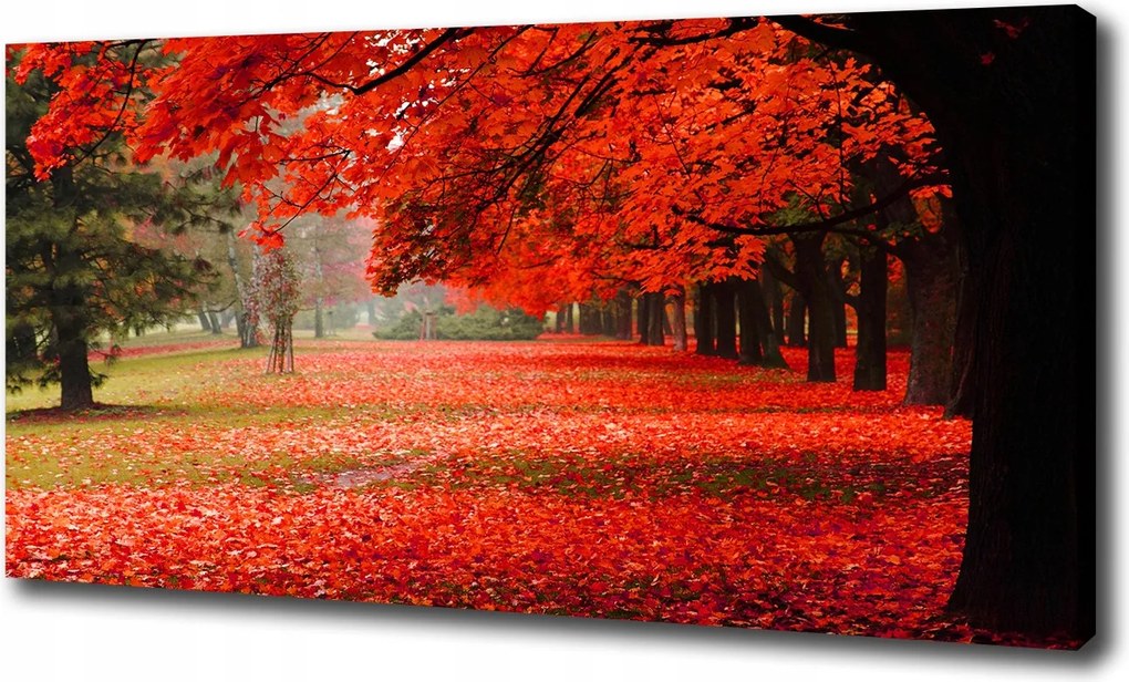 Vászonkép Őszi fák 120x60 cm