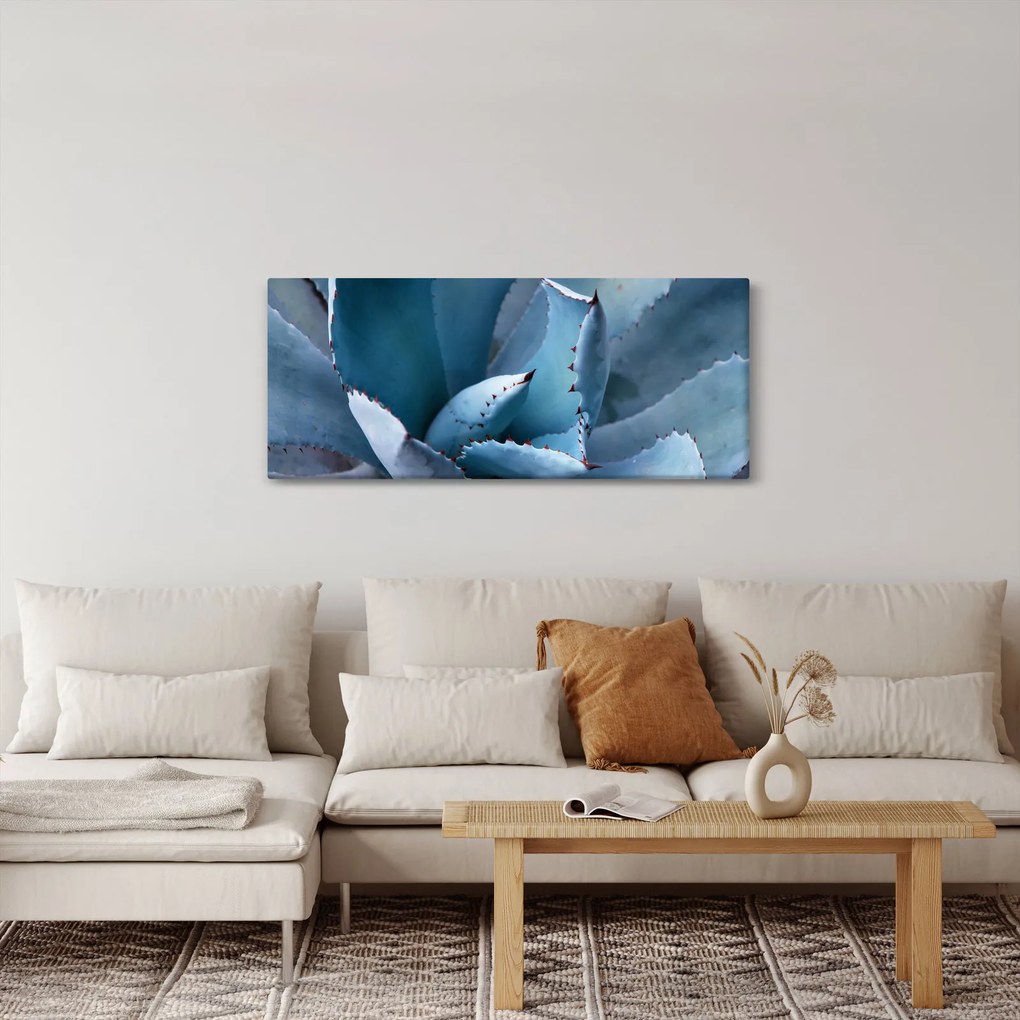 Kép - Agave (120x50 cm)