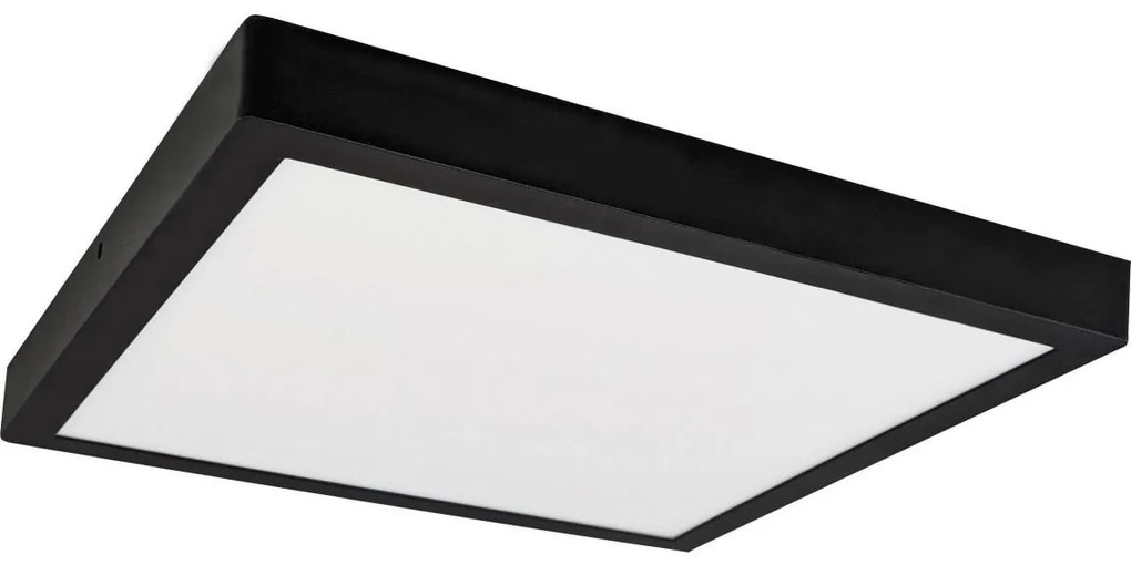 LED Mennyezeti lámpa FENIX LED/24W/230V 3800K