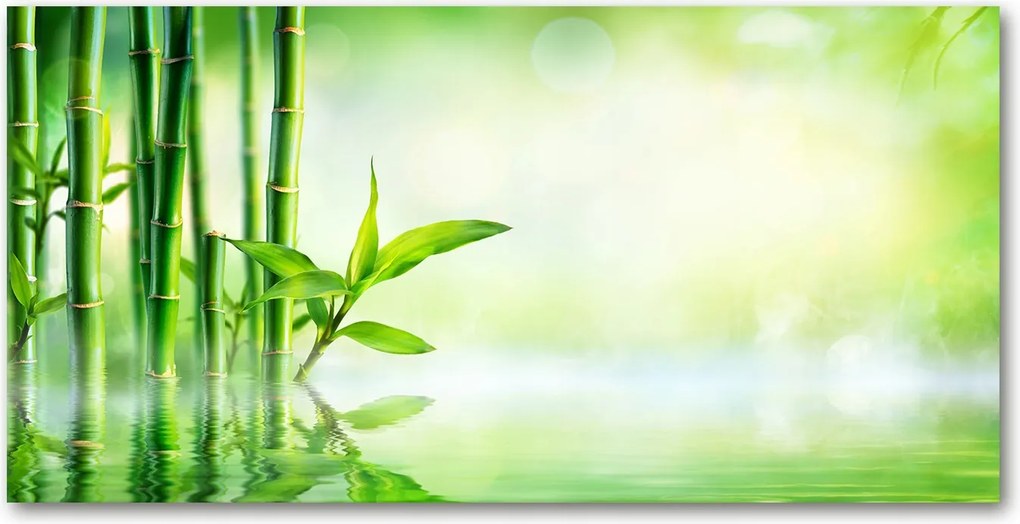 Üvegpanel konyhába Bambusz 120x60 cm Ragasztó