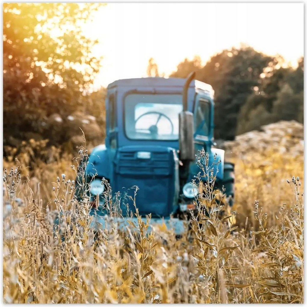 Poszterek 30x30 Antik traktor a réten