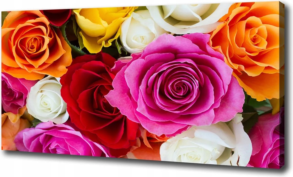 Vászonkép Színes rózsák 120x60 cm