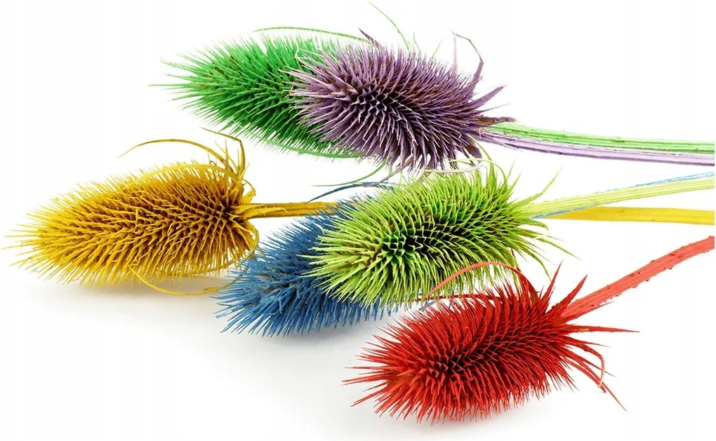 Fotó kép fotó edzett üveg Bogáncs 140x70