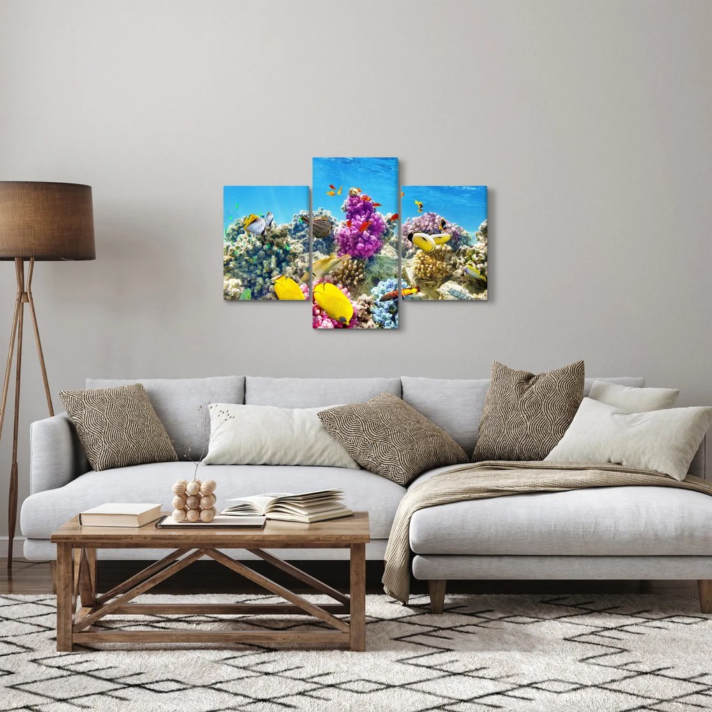 Kép - A tenger világa (90x60 cm)