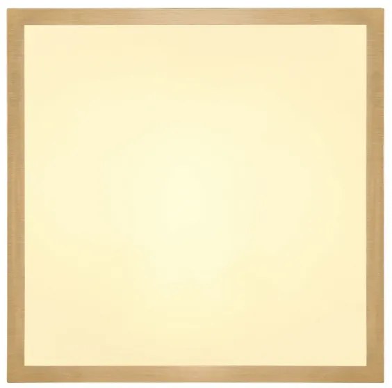 Globo 12382-15 - LED Mennyezeti lámpa TIBEY LED/15W/230V 25x25 cm