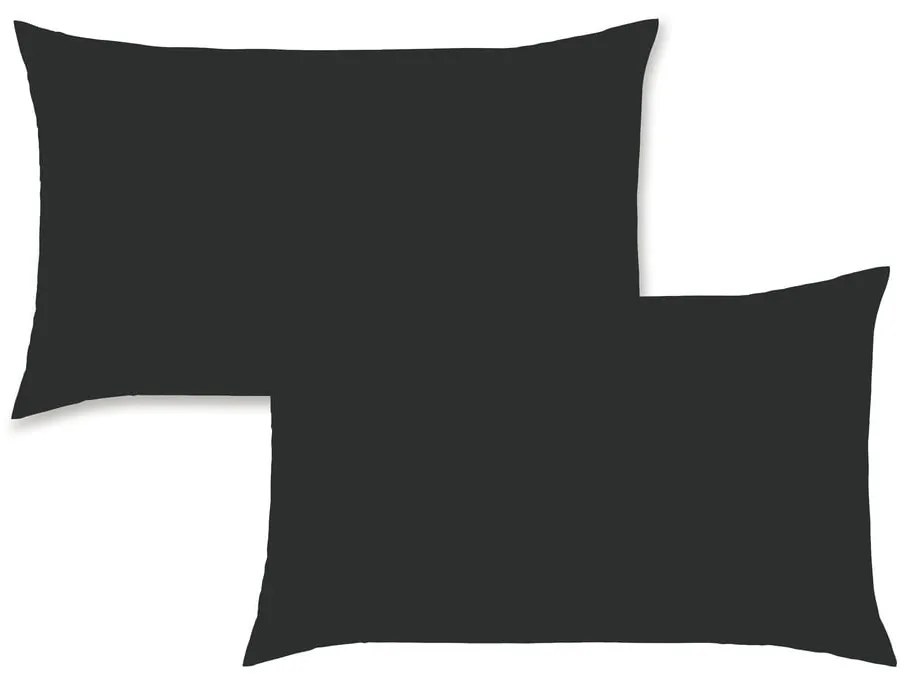 Perkál párnahuzat szett 2 db-os 75x50 cm Easy Iron Percale – Catherine Lansfield