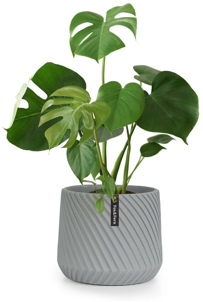 Fox & Fern Heusden, virágcserép, Polystone, növények számára alkalmas, kézzel készített