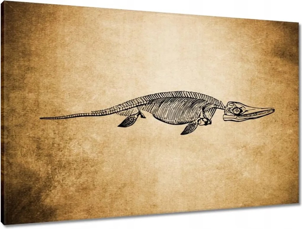 Vászonkép 90x60 Dinoszaurusz őstörténet Dino