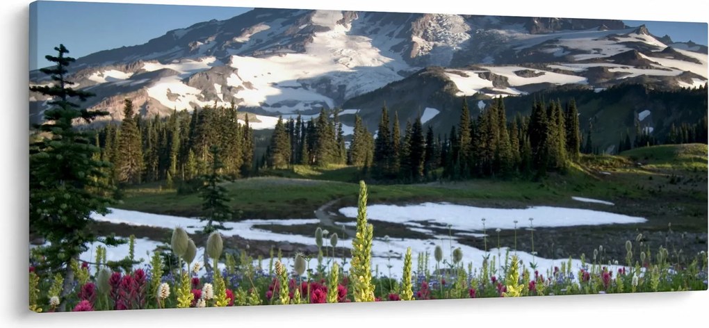 Kép - Mount Rainier (120x50 cm)