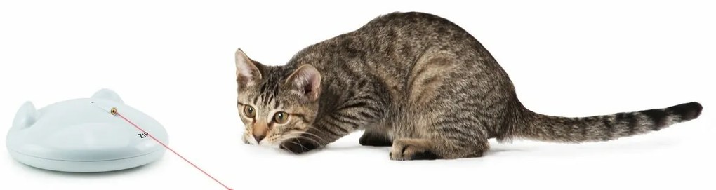 PetSafe® ZIP Automatikus lézeres játék macskáknak
