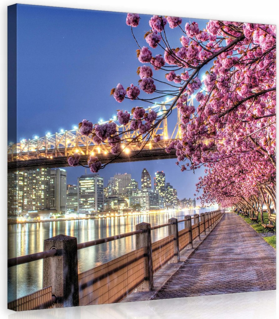 Vászonkép 40x40 Éjszakai városkép híd virágok sakura tükröződés romantika