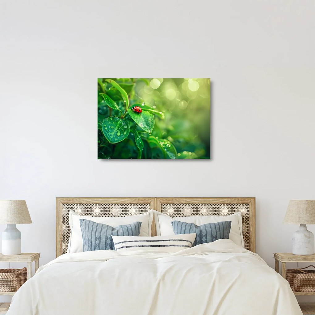 Üveg kép - Katicabogár (70x50 cm)