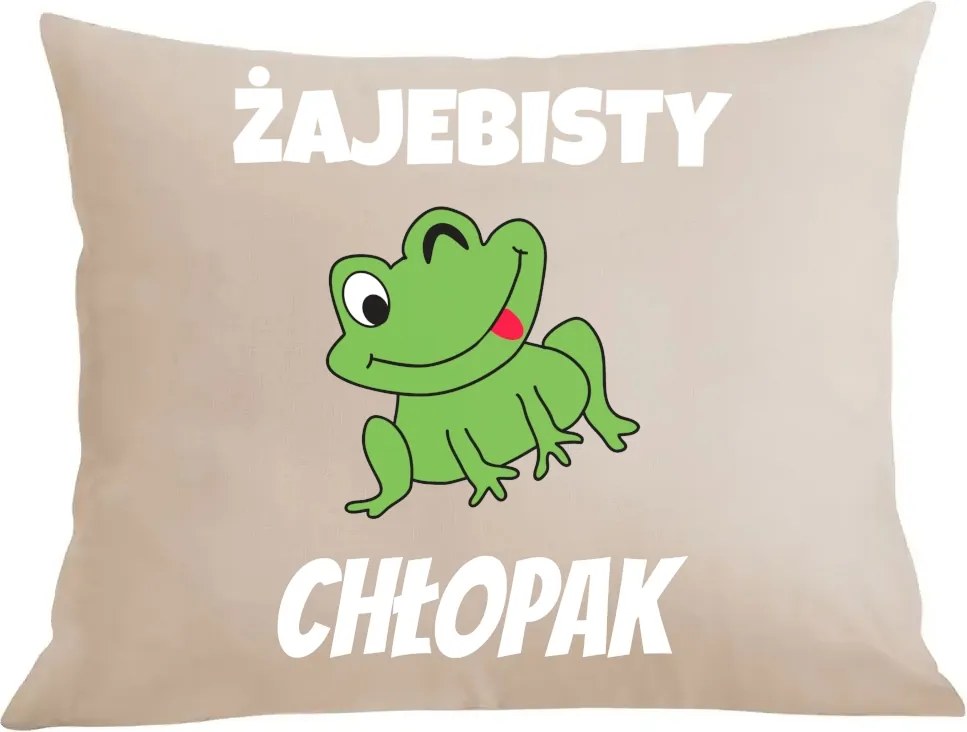 Párna párnahuzat Ajándék Békás Fiú