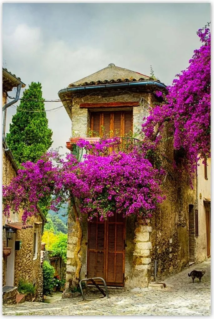 Plakátok 80x120 régi bérházak