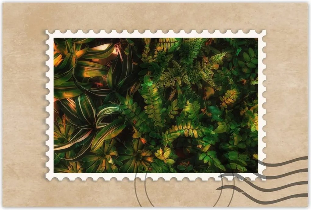 Poszterek 90x60 Trópusi levelek Levelek