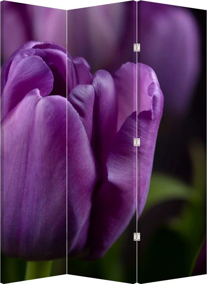 Paraván - Tulipán vírága (126x170 cm)