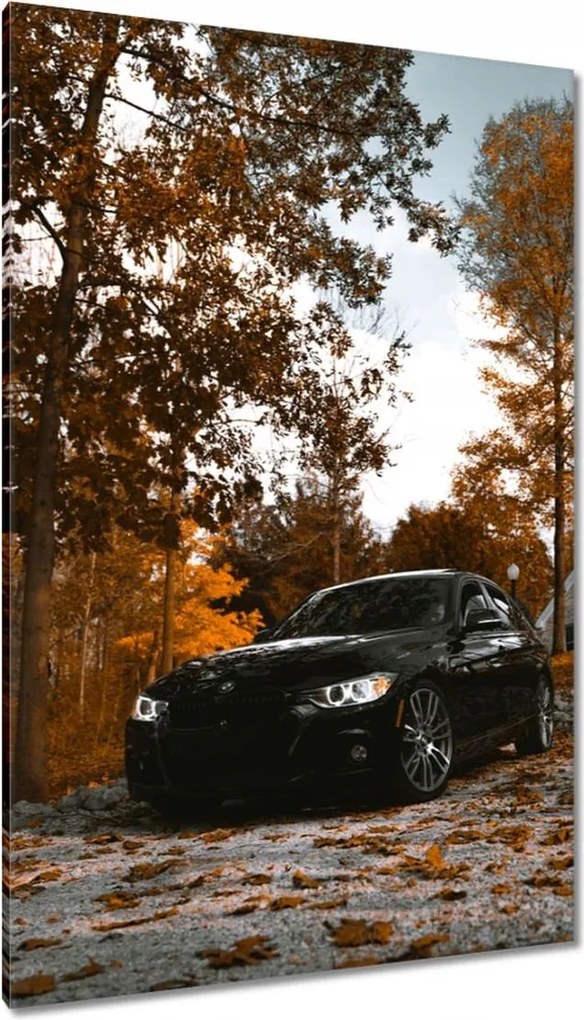 Vászonkép 80x120 Fekete Bmw Ősz