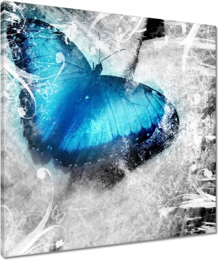 Vászonkép 60x60 Finom pillangó