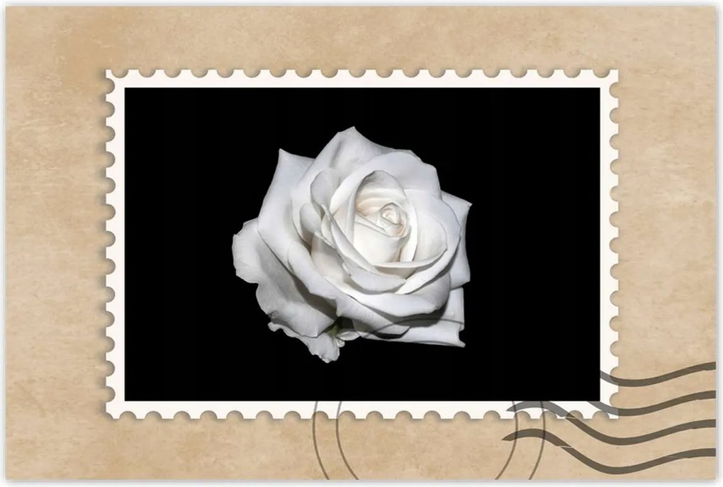 Poszterek 120x80 Rózsa Virág Virágok Rózsa