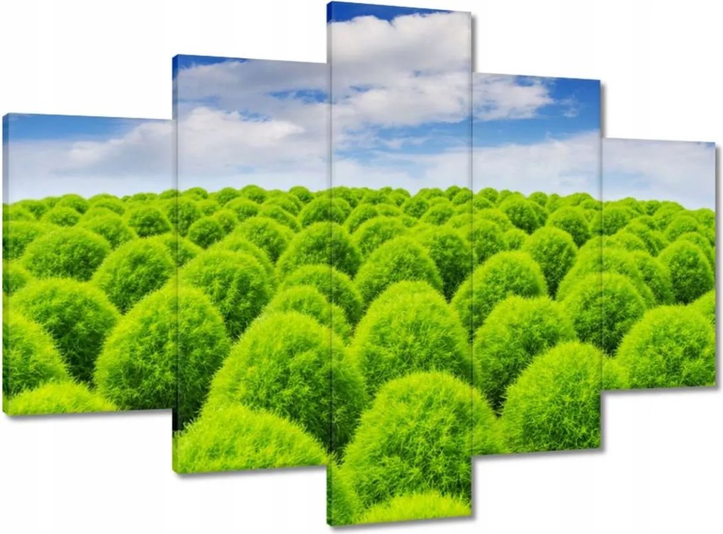 Festmények 150x105 Zöld tekintet Völgy