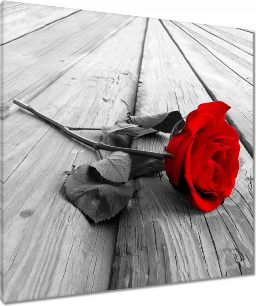 Vászonkép 80x80 Vörös rózsa a deszkákon
