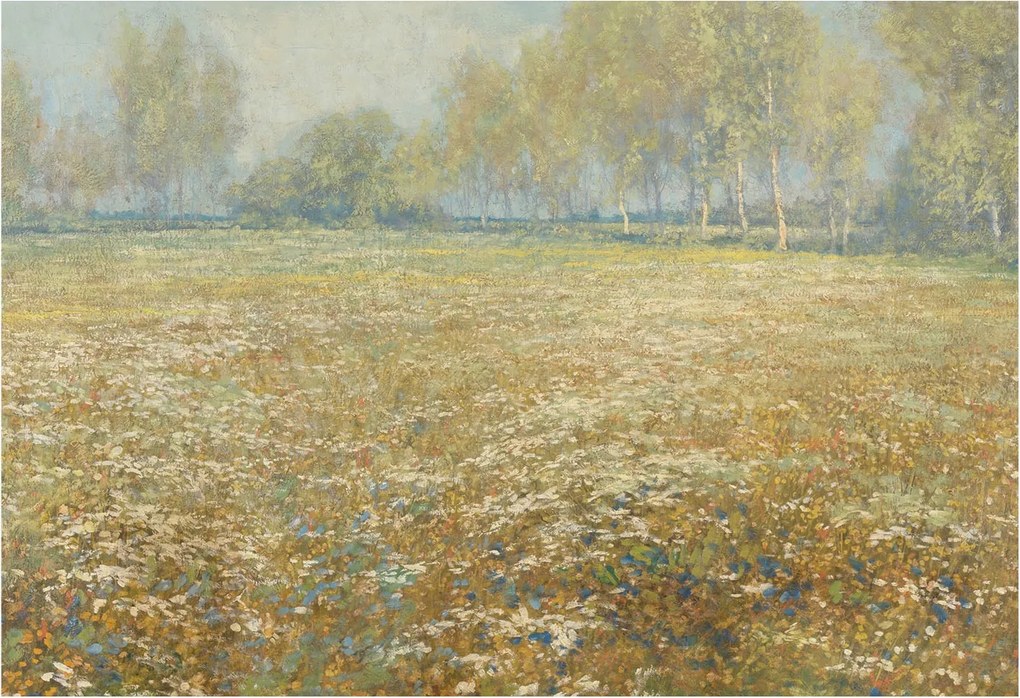 Fotótapéta Flizelina Nappali és Hálószoba Irodába Virágzó mező 152x104 Ragasztó