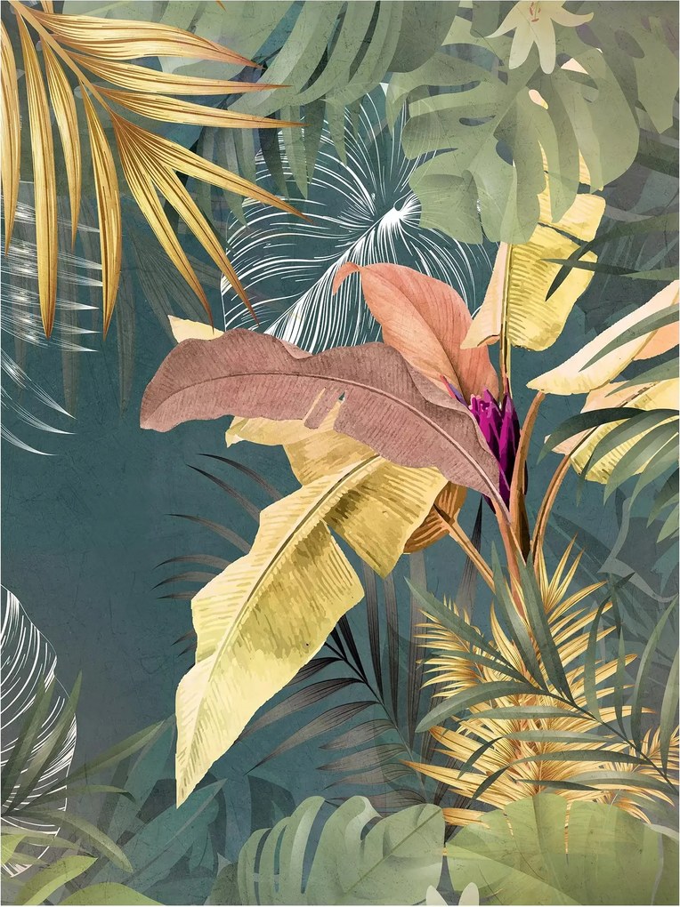 3D fotótapéta monster pálma levelek 206 x 275